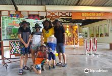 Borneo Honeybee Centre (BHBC)景点图片