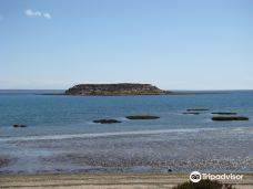 Reserva Natural Isla de los Pajaros-别德马