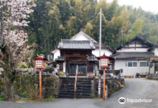 Kofukuji No Bokefuji Nagaiki Kannon Bosatsu景点图片