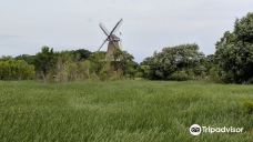 Windmill Island Garden-霍兰