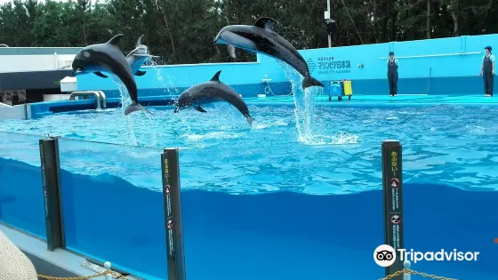 Marinpia日本海
