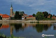 Podebrady Castle景点图片