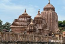 Maa Tara Tarini Temple景点图片