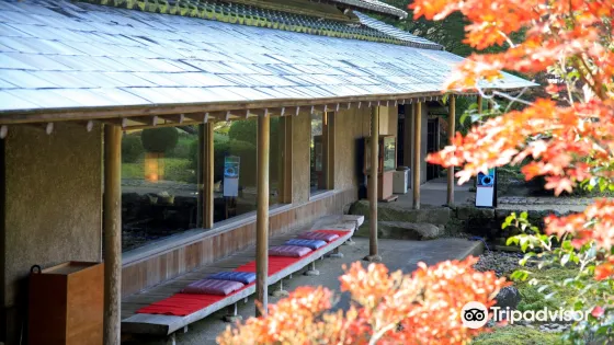 日本庭園 慧洲園