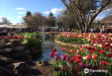 Corbett Gardens景点图片