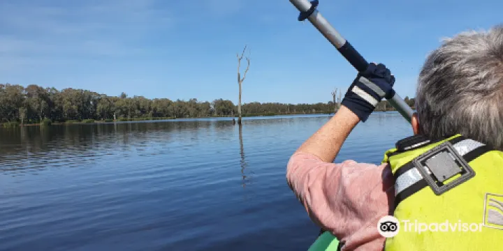 Gemmill Swamp Wildlife Reserve