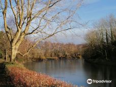 维多利亚公园-贝尔法斯特