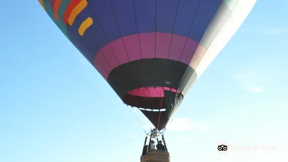FireBird Balloons