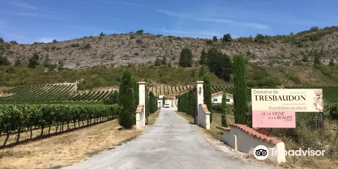 Domaine de Tresbaudon