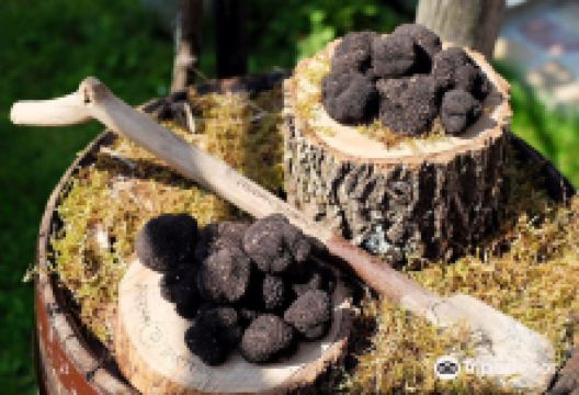 Prodan Tartufi购物图片