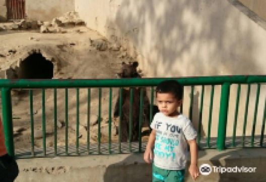 Lahore Wildlife Park景点图片