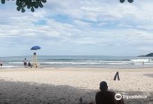 Praia do Pinheiro景点图片