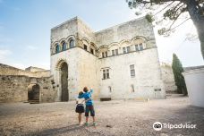 Château de Montélimar-蒙特利马尔