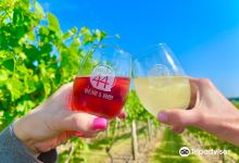 Parallel 44 Winery and Vineyard景点图片