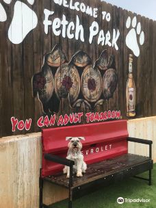 Fetch Park and Ice House-富尔顿县