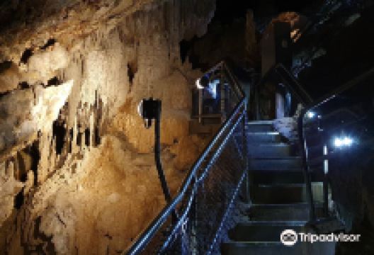 Marakoopa Cave景点图片