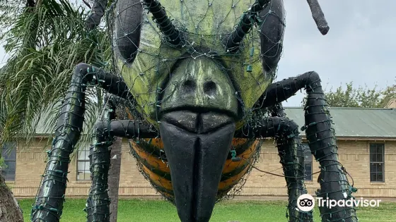 World's Largest Killer Bee