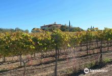 Clos Pepe Vineyards and Estate Wines景点图片