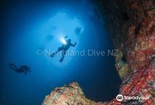 Northland Dive购物图片