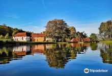 Weald & Downland Living Museum景点图片