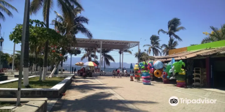 Playa San Pedrito