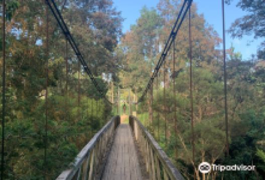 Loch Suspension Bridge景点图片