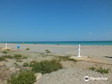 Playa de Corinto-Malvarrosa-Camp de Morvedre