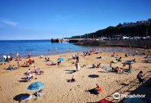 Saundersfoot Beach景点图片