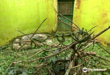 Uganda Reptile Village景点图片
