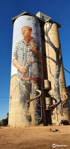 Patchewollock Silos Art-帕奇沃洛克