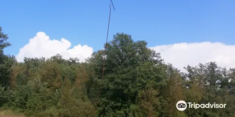 Il Giardino dei Suoni