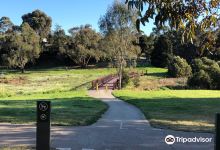 Waverley Road Basin景点图片