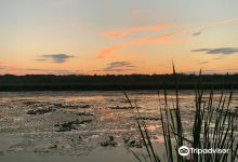 Imagine the Marsh Conservation Area景点图片