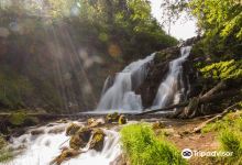 Fairy Creek Falls景点图片