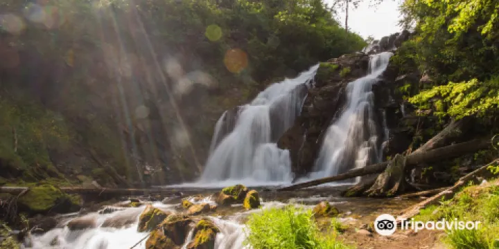 Fairy Creek Falls