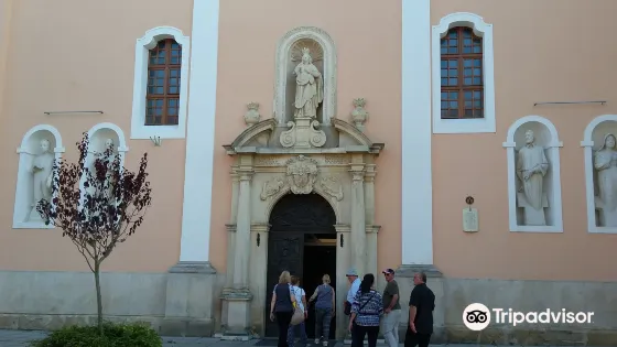 Varazdin's Cathedral