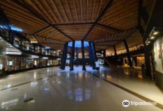 Museo de los Volcanes景点图片