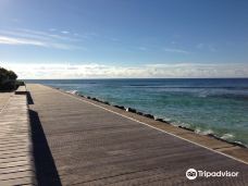 South Coast Boardwalk-黑斯廷斯