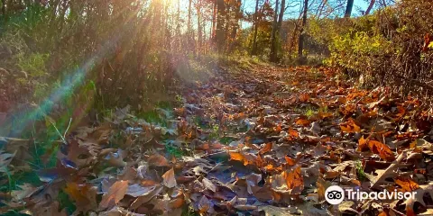 Rough Meadows Wildlife Sanctuary