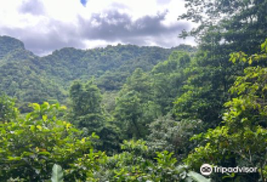 Vermont Nature Trail景点图片