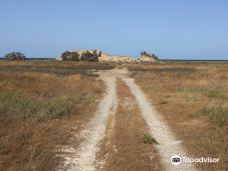 Absheron National Park-平泽市