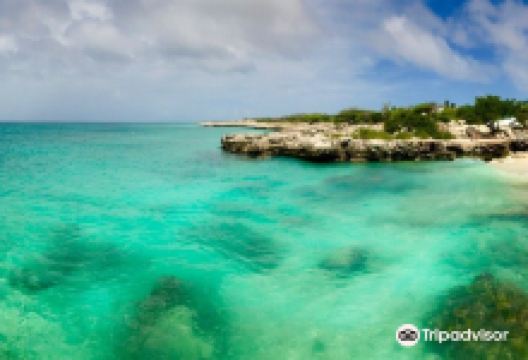 Malmok Beach景点图片