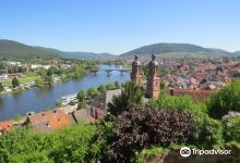 Miltenberg Castle景点图片