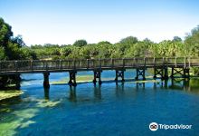 Wall Springs Park景点图片