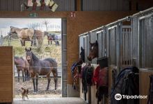 Buchwald - Ranch, Ines Kawik景点图片