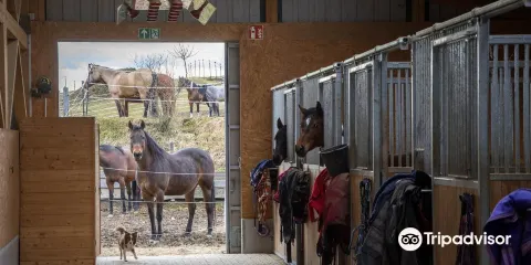Buchwald - Ranch, Ines Kawik