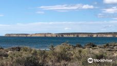 Reserva Natural Isla de los Pajaros-别德马