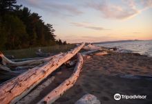 Ontonagon Township Park景点图片