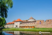 Fagaras Fortress景点图片