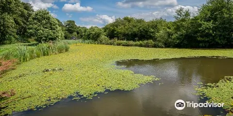 Kingscote Estate and Vineyard